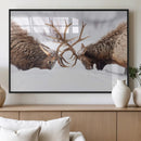 Dramatic Elk Antler Battle Wall Art Canvas Print – elk by MyGreatCanvas | Canvas Wall Art Prints | Photo Prints & Wall Decor