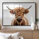 Scottish Highland Cow Canvas Print, Framed Highland Cow