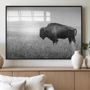 Black White Bison Canvas Wall Art, Rustic American Buffalo by MyGreatCanvas | Canvas Wall Art Prints | Photo Prints & Wall Decor