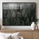 Dense Evergreen Forest Misty Morning Fog Pine Trees Woodland by MyGreatCanvas | Canvas Wall Art Prints | Photo Prints & Wall Decor