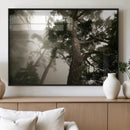 Misty Forest Canvas, Tall Trees Foggy Atmosphere Nature by MyGreatCanvas | Canvas Wall Art Prints | Photo Prints & Wall Decor