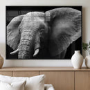 Big Elephant Close Up Wall Art Canvas Print