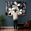 Plumeria Frangipani Black Stone Canvas | White Flower Spa by MyGreatCanvas | Canvas Wall Art Prints | Photo Prints & Wall Decor