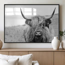 Newfoundland Cow Art Wall Art, Black White Cow Art Wall Art