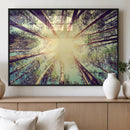 Tree and Sunshine Canvas Print