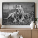 King Forest Lion Wall Art Canvas Print – Framed Majestic by MyGreatCanvas | Canvas Wall Art Prints | Photo Prints & Wall Decor