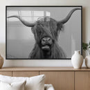 Texas Cow Wall Art Canvas, Texas Longhorn Cattle Canvas by MyGreatCanvas | Canvas Wall Art Prints | Photo Prints & Wall Decor
