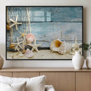 Seashells on Rustic Wooden Background, Seashells Wall Art