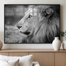 Lion Wall Art Canvas Print – Framed Majestic Wildlife by MyGreatCanvas | Canvas Wall Art Prints | Photo Prints & Wall Decor