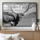 Cattle Wall Art Longhorn Cow Canvas Print