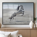 Prancing Horse Desert Large Wall Art Canvas Print – Majestic