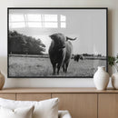 Black and White Highland Cow Wall Art Canvas Print | Rustic