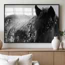Black Horse in Snow Canvas Print | Winter Horse Wall Art |