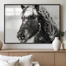 Framed Black and White Horse Wall Art | Ready to Hang and by MyGreatCanvas | Canvas Wall Art Prints | Photo Prints & Wall Decor