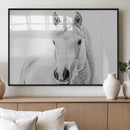 Majestic White Horse Wall Art | Ready to Hang and Framed |