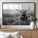 Scottish Highland Cow Wall Art | Black and White Canvas