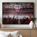 Carolina Hurricanes Ice Hockey Stadium Wall Art, Carolina