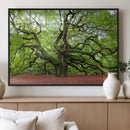 Framed Angel Oak Tree Wall Art - 3-Panel Canvas Prints,