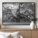 Black White Angel Oak Tree Wall Art - Timeless