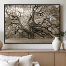Sepia Framed Angel Oak Tree Wall Art - 3-Panel Canvas