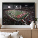 Houston Cougars Football Team Print - Houston TDECU Stadium