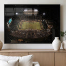 Wake Forest University Demon Deacons Canvas Printi, Football