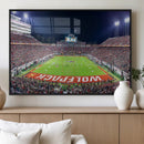 Wolfpack Football Team Print - Raleigh Carter-Finley Stadium
