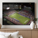 Florida Atlantic University Owls Canvas Print, Football Team by MyGreatCanvas | Canvas Wall Art Prints | Photo Prints & Wall Decor