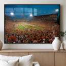 Clemson University Tigers Football Team Print - Clemson