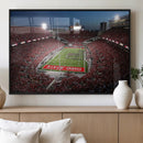 Ohio State University Buckeyes Football Team Print -