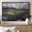 Rutgers Scarlet Knights Football Team Print - SHI Stadium,