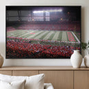 Rutgers University Scarlet Knights Football Team Print -