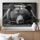 Resting Grizzly 399 Bear Canvas Print | Ready to Hang Wall by MyGreatCanvas | Canvas Wall Art Prints | Photo Prints & Wall Decor