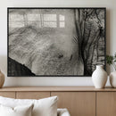 Elephant Wall Art Canvas Print