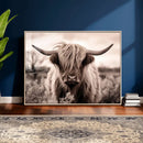 Scottish Cow Longhorn Wall Art Canvas Print