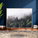 Misty Forest Canvas Wall Art – Serene Triptych Nature Print by MyGreatCanvas | Canvas Wall Art Prints | Photo Prints & Wall Decor