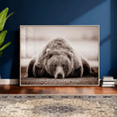 Grizzly Bear Wall Art Print - Bear Canvas Wall Art - Rustic