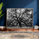 Black and White Old Angel Oak Tree Wall Art Canvas Print by MyGreatCanvas | Canvas Wall Art Prints | Photo Prints & Wall Decor