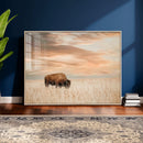 MyCanvas -