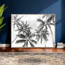 Black and White Palm Wall Art Canvas Print – Framed