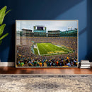 Green Bay Packers Stadium Wall Art Canvas Print, Lambeau by MyGreatCanvas | Canvas Wall Art Prints | Photo Prints & Wall Decor