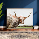 Texas Catle Longhorn Wall Art Canvas Print for Farmhouse by MyGreatCanvas | Canvas Wall Art Prints | Photo Prints & Wall Decor