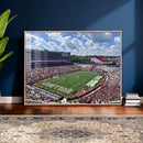 Georgia Bulldogs Stadium Wall Art Canvas Print, Sanford by MyGreatCanvas | Canvas Wall Art Prints | Photo Prints & Wall Decor