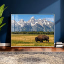 Bison in Mountain Landscape Wall Art Canvas Print – Western by MyGreatCanvas | Canvas Wall Art Prints | Photo Prints & Wall Decor