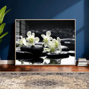 Plumeria Frangipani Black Stone Canvas | White Flower Spa by MyGreatCanvas | Canvas Wall Art Prints | Photo Prints & Wall Decor