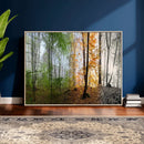 Four Seasons Wall Art Forest Canvas Print – Triptych