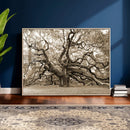 Sepia Framed Angel Oak Tree Wall Art - 3-Panel Canvas