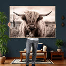 Scottish Cow Longhorn Wall Art Canvas Print