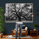 Black and White Old Angel Oak Tree Wall Art Canvas Print