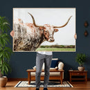 Texas Catle Longhorn Wall Art Canvas Print for Farmhouse by MyGreatCanvas | Canvas Wall Art Prints | Photo Prints & Wall Decor